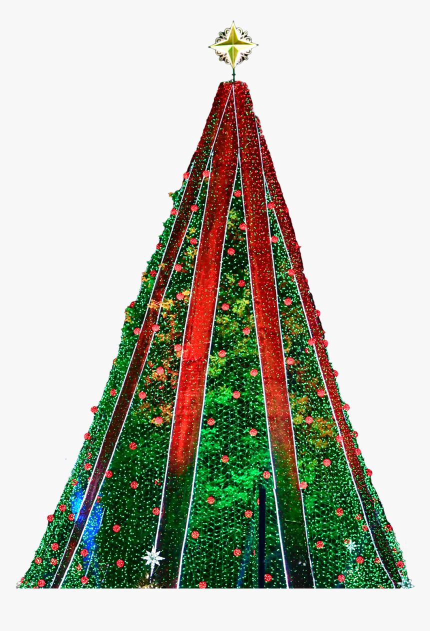 Christmas Tree, HD Png Download