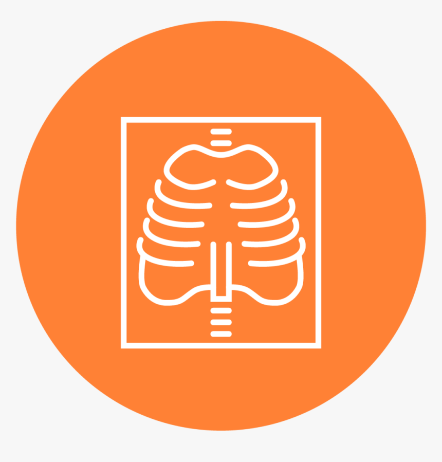 Services Icons Diagnostics - Seguridad Laboral Vector Png, Transparent Png