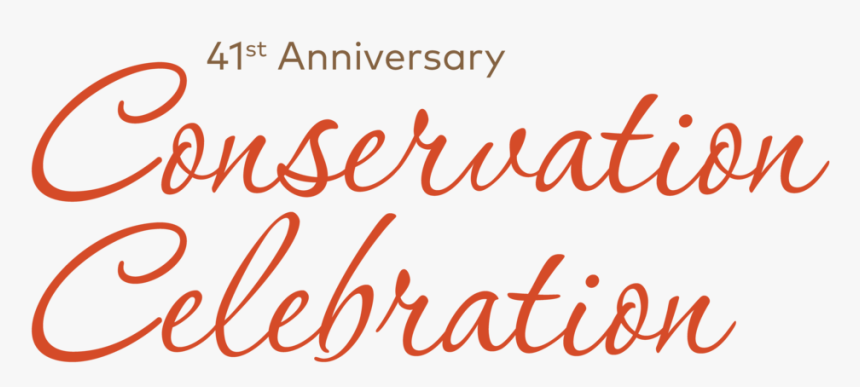 Solccelebrate Icon Tall Transp - Calligraphy, HD Png Download