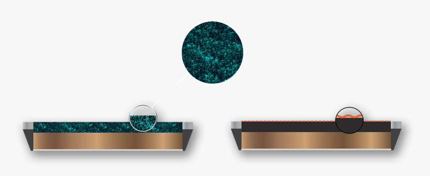 Circle, HD Png Download