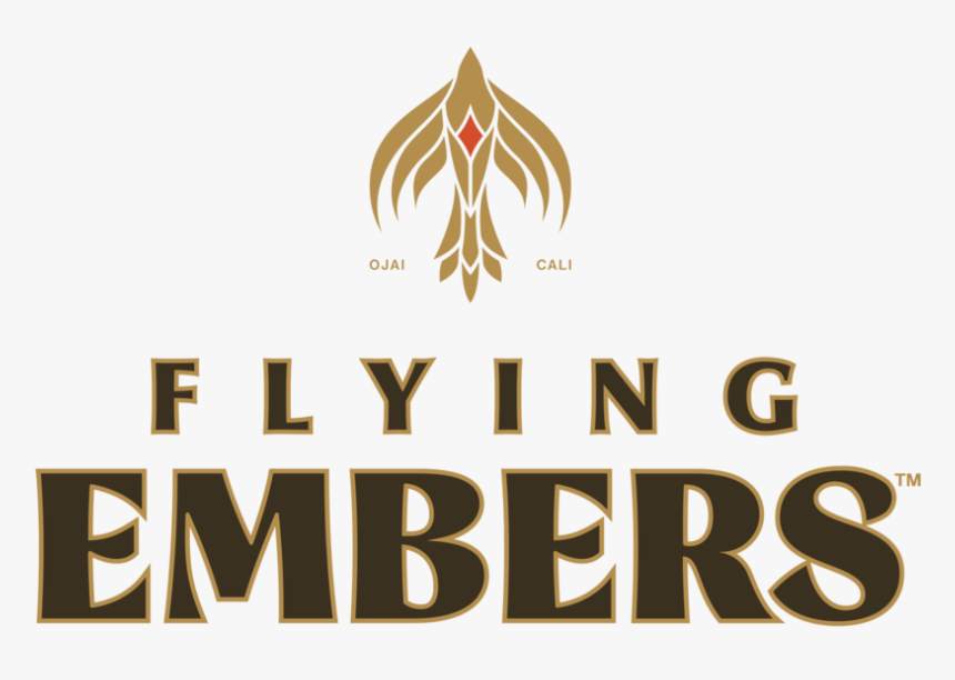 Fe Logo Rgb 181105-square - Graphic Design, HD Png Download