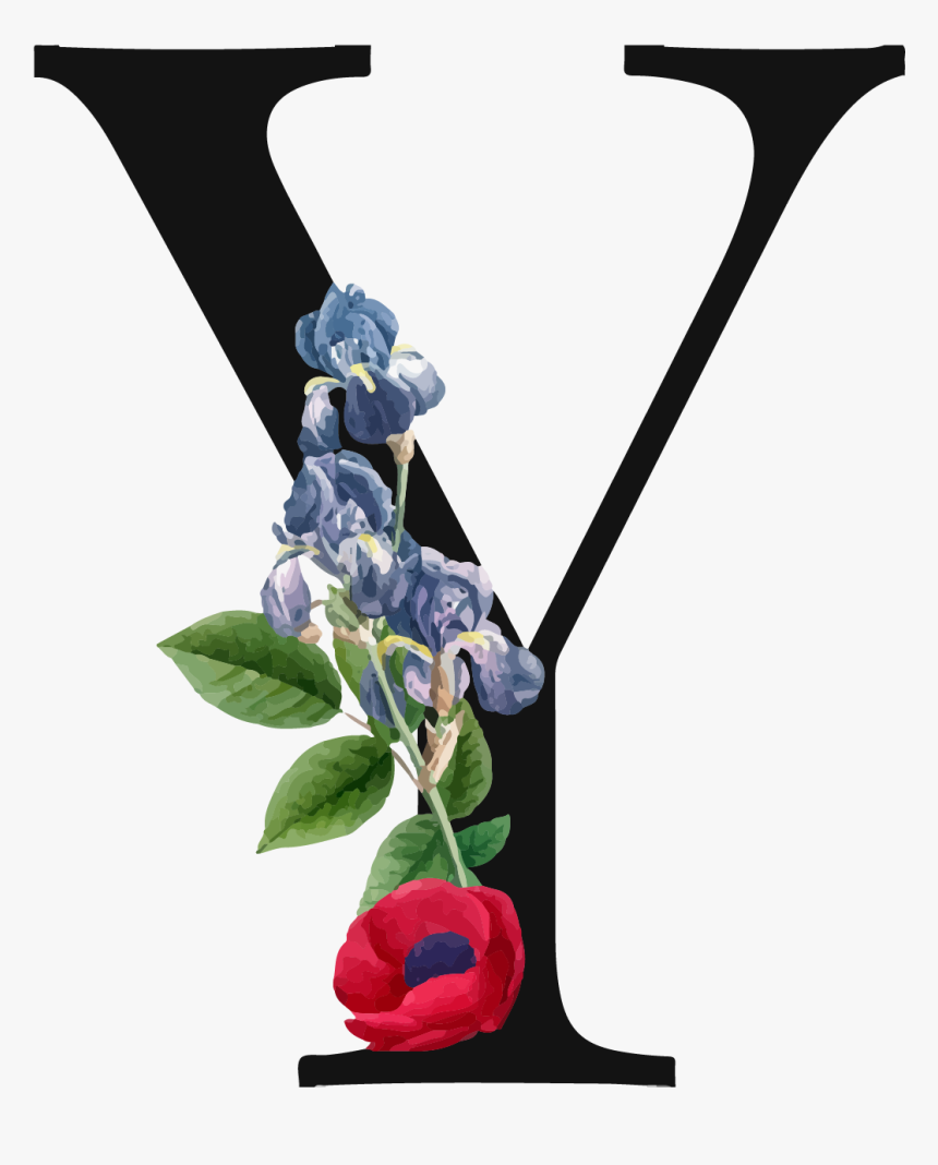 Garden Roses, HD Png Download