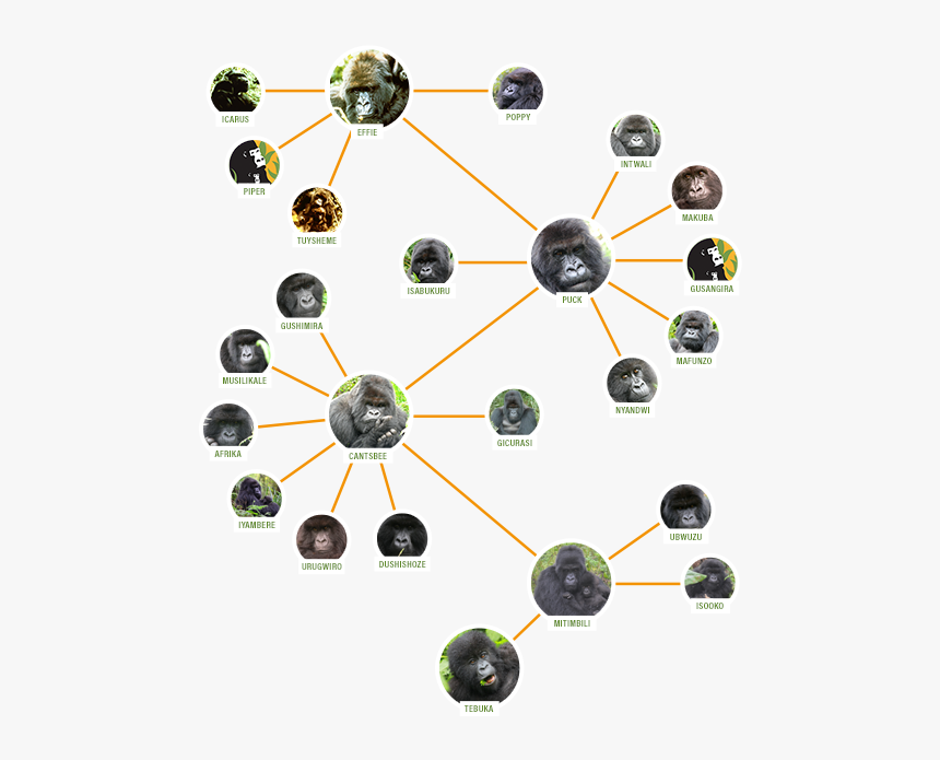 Family Tree On Mobile, HD Png Download