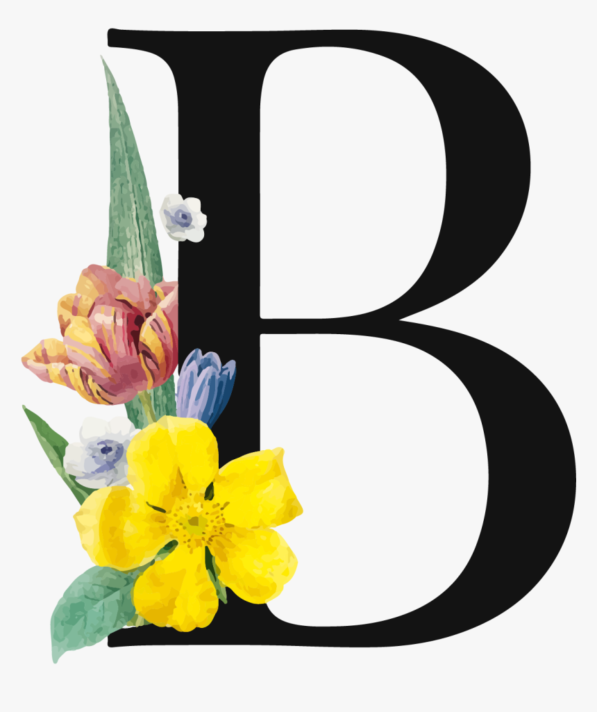 Letter B Png, Transparent Png