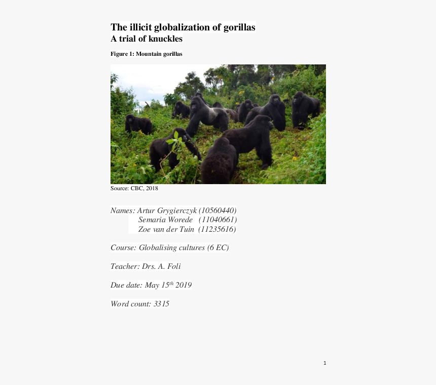 Gorilla Ape, HD Png Download