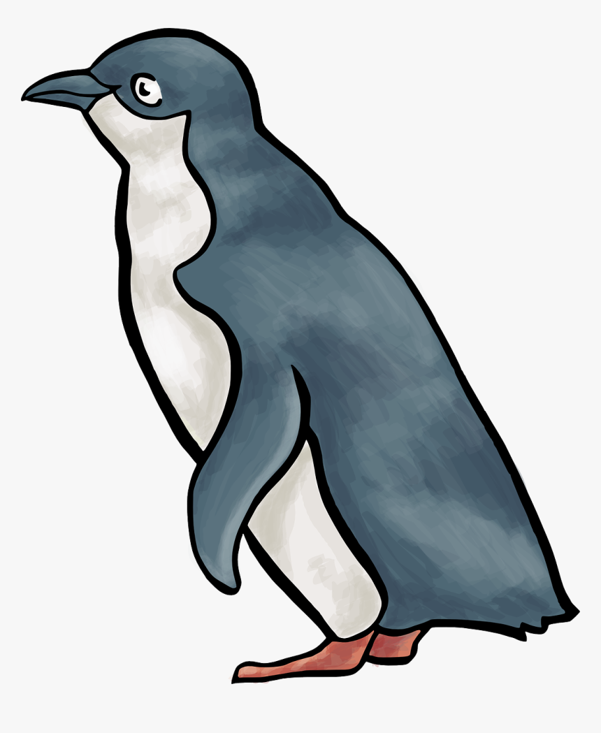 Penguin Clip Art Vector Graphics Royalty-free Image - Little Blue Penguin Clipart, HD Png Download