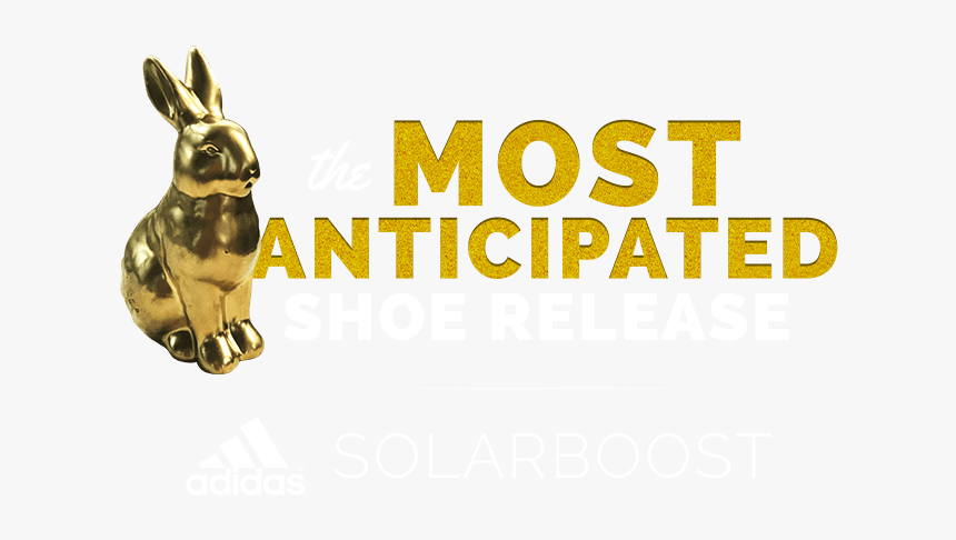 Hare, HD Png Download