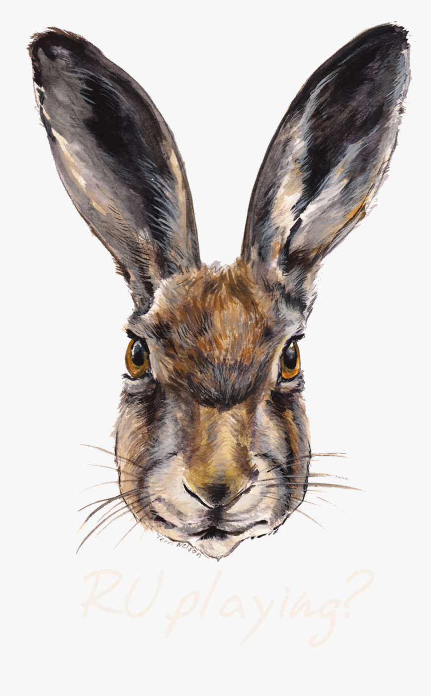 Rabbits Ru Playing Tshirt2rev Ru Playing - Domestic Rabbit, HD Png Download