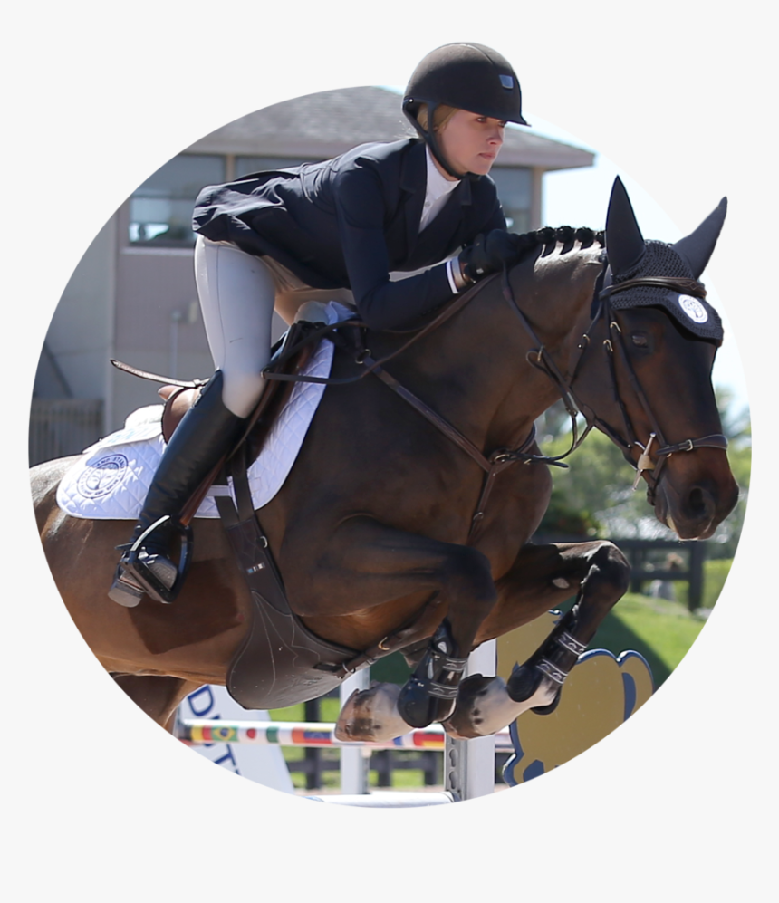 Maggie Hill Testimonial - Equitation, HD Png Download