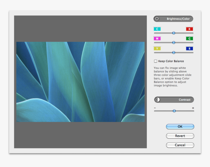 Jetphoto Studio - Agave, HD Png Download