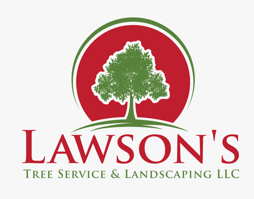 Tree, HD Png Download