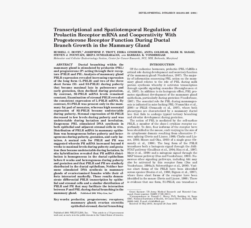 Gost, HD Png Download