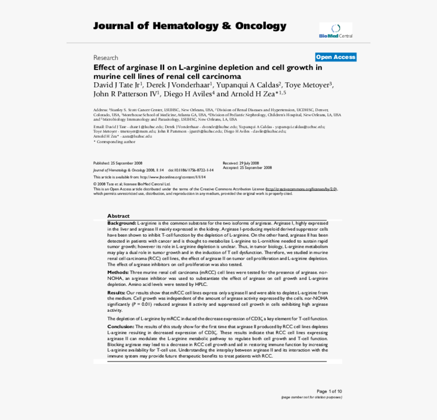 Primary Intestinal Lymphangiectasia Ultrasound, HD Png Download