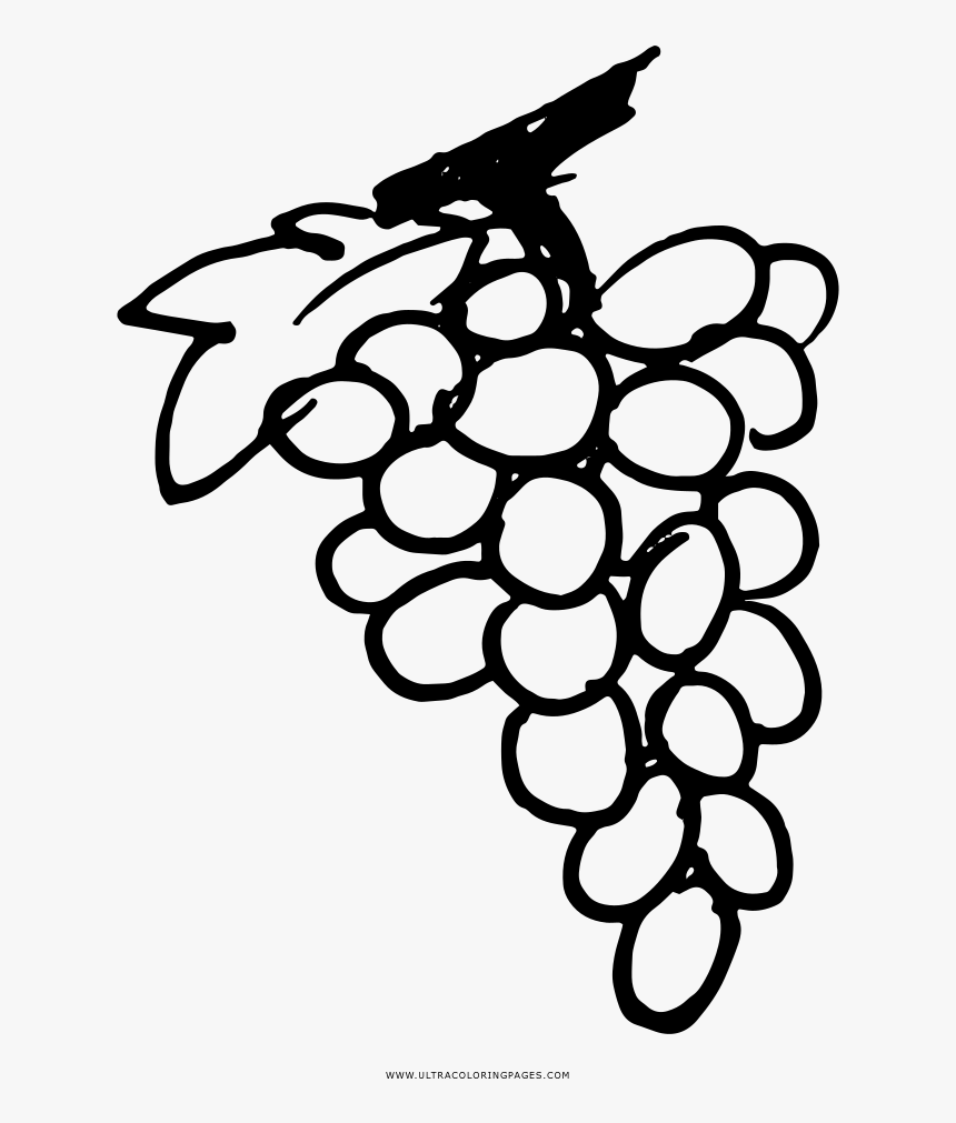 Line Art, HD Png Download