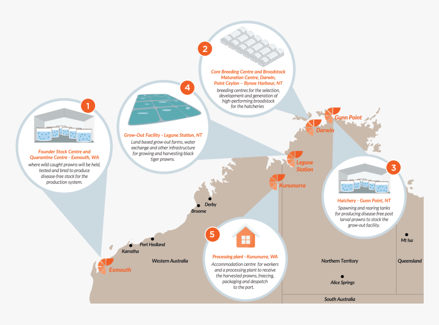 Project Sea Dragon Map, HD Png Download