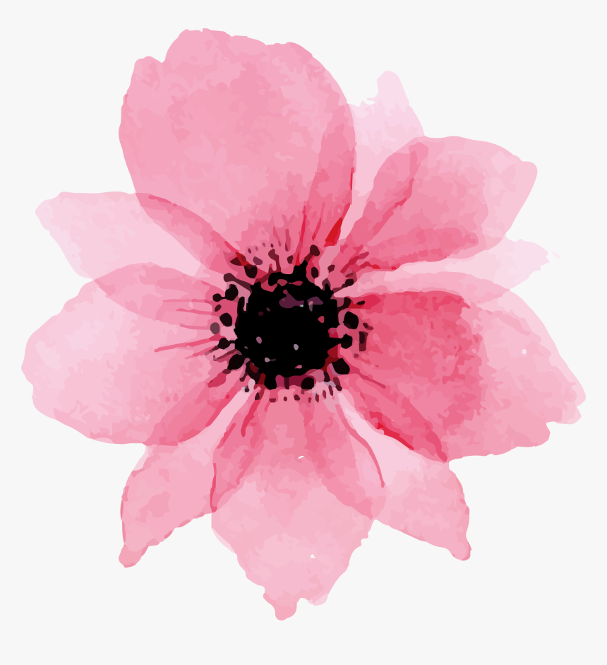 To Download Click The Following - Flower, HD Png Download