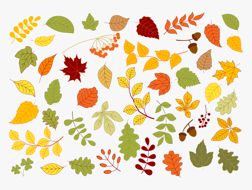 Maple, Oak, Birch, Linden And Herbs Leaves Set In Red, - Falling Leaves Birch Tree Drawing Aspen Vector Tree, HD Png Download
