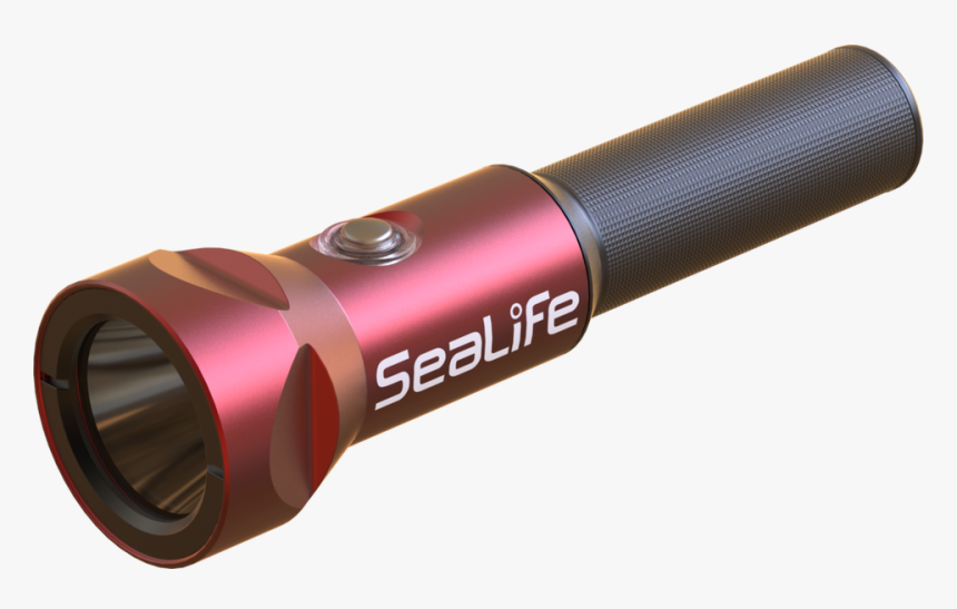 Sea Dragon Png, Transparent Png