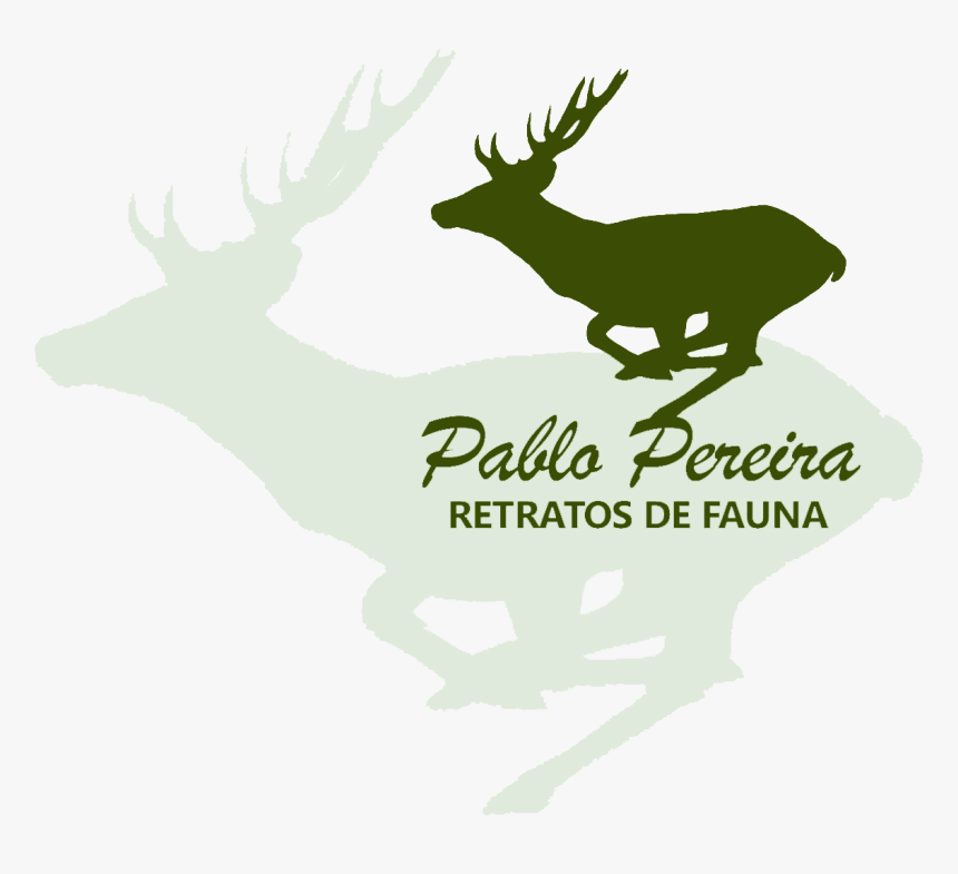 Elk, HD Png Download