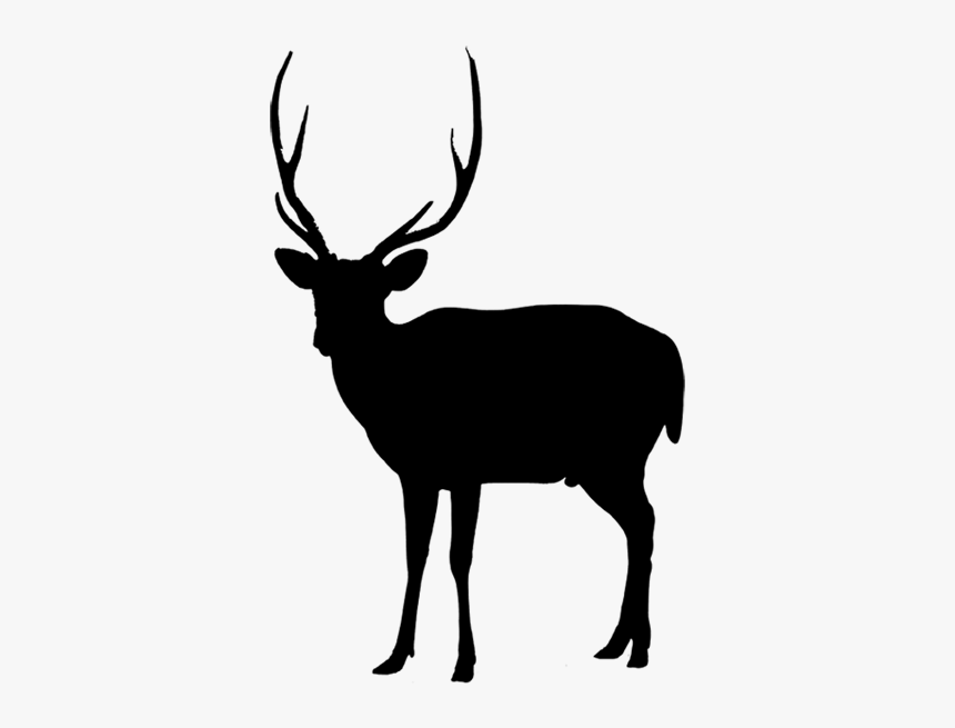 Reindeer Vector Graphics Computer Icons Illustration - Elk, HD Png Download