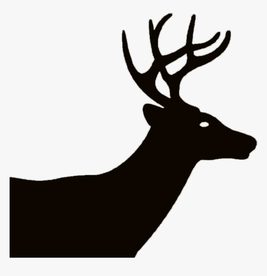 Elk, HD Png Download