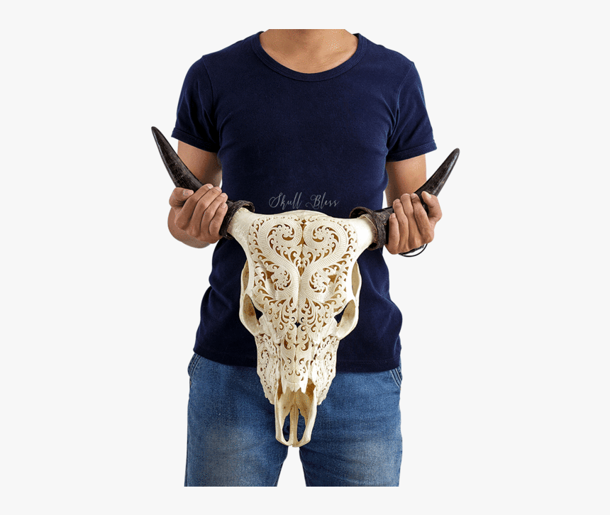 Carved Cow Skull - Skull, HD Png Download