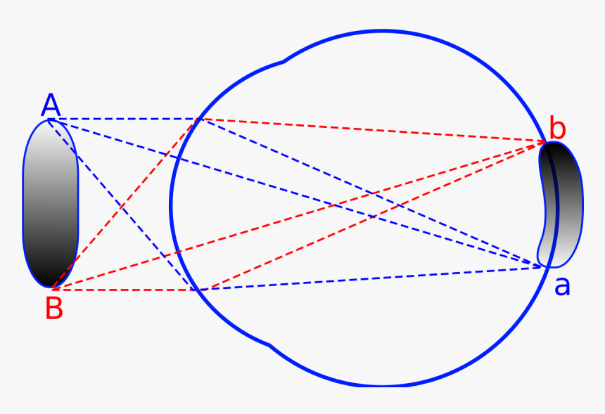 Figuras Geometricas Para Armar Esfera, HD Png Download