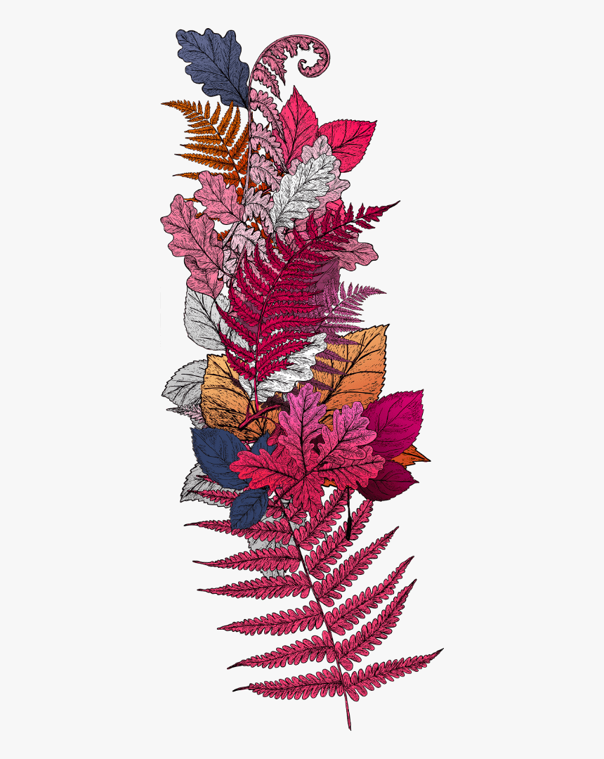 Floral Ornament - Illustration, HD Png Download
