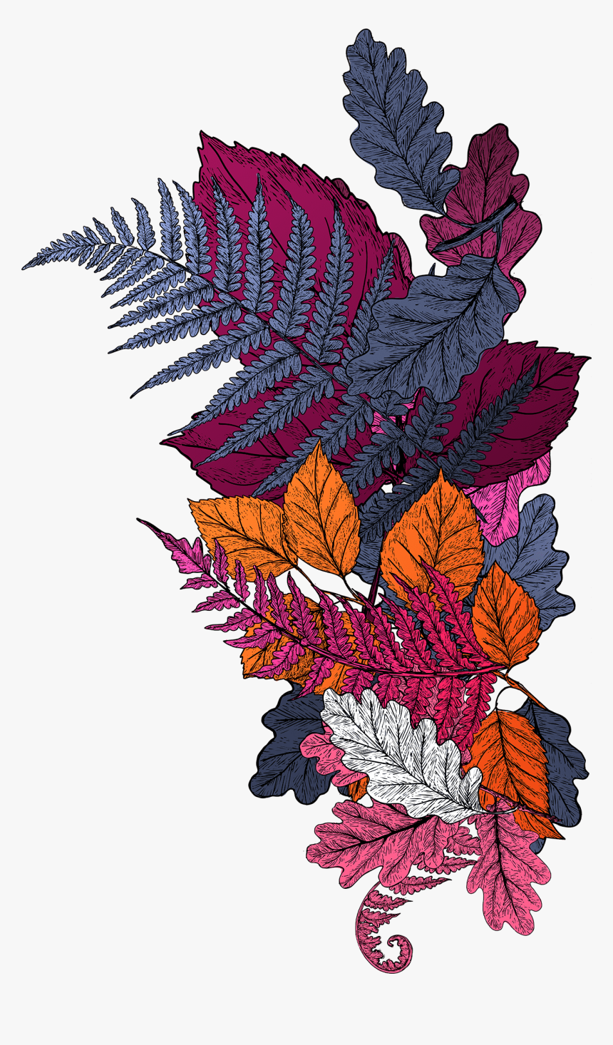 Floral Design, HD Png Download