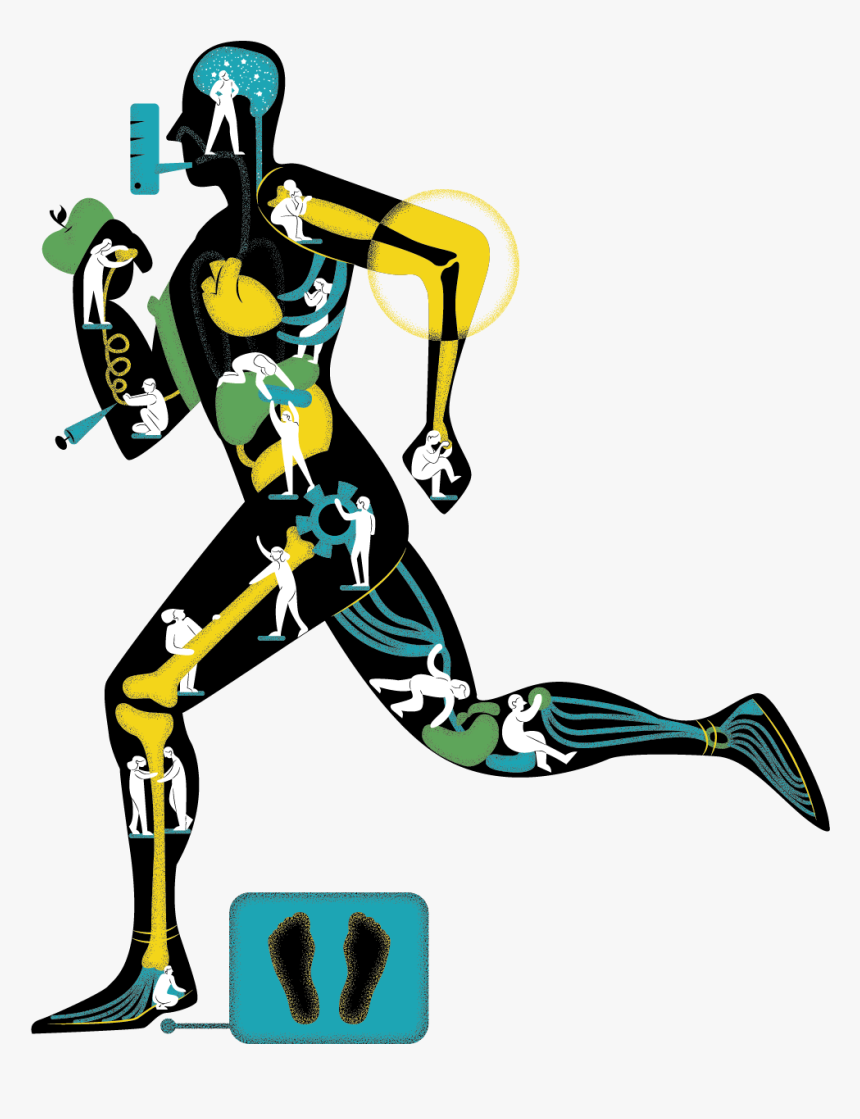 Es
ilustración Para El Artículo Bienestar Rumbo A La - Illustration, HD Png Download