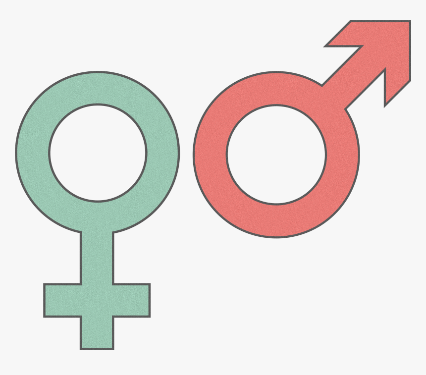 Circle, HD Png Download