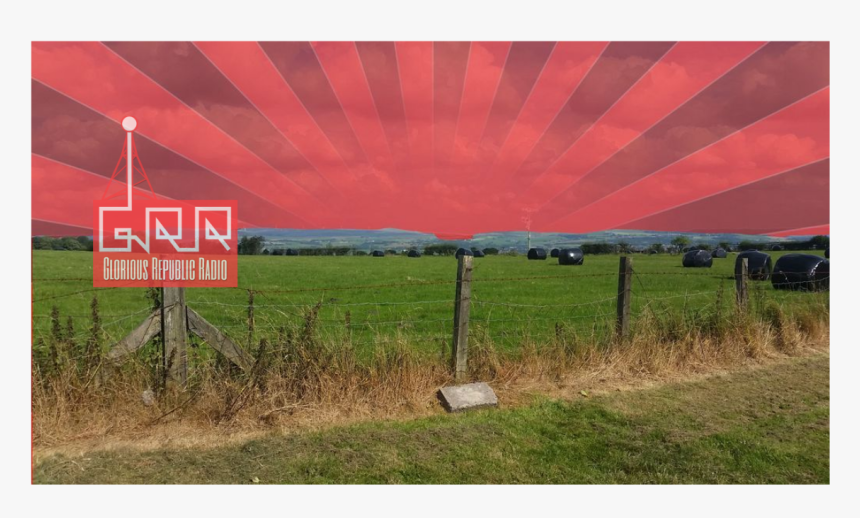 Grass, HD Png Download