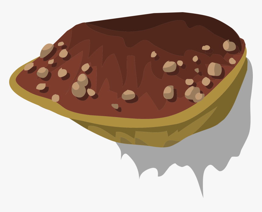 Fungus, HD Png Download