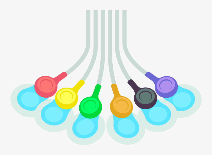 Circle, HD Png Download