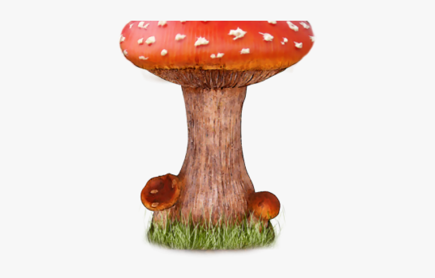 Mushroom Png Transparent Images - Amanita Mushroom, Png Download