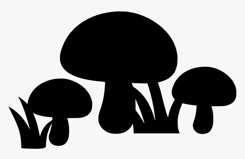 Agaricaceae, HD Png Download