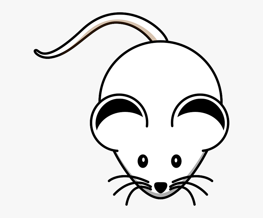 Mouse Coloring Pages, HD Png Download