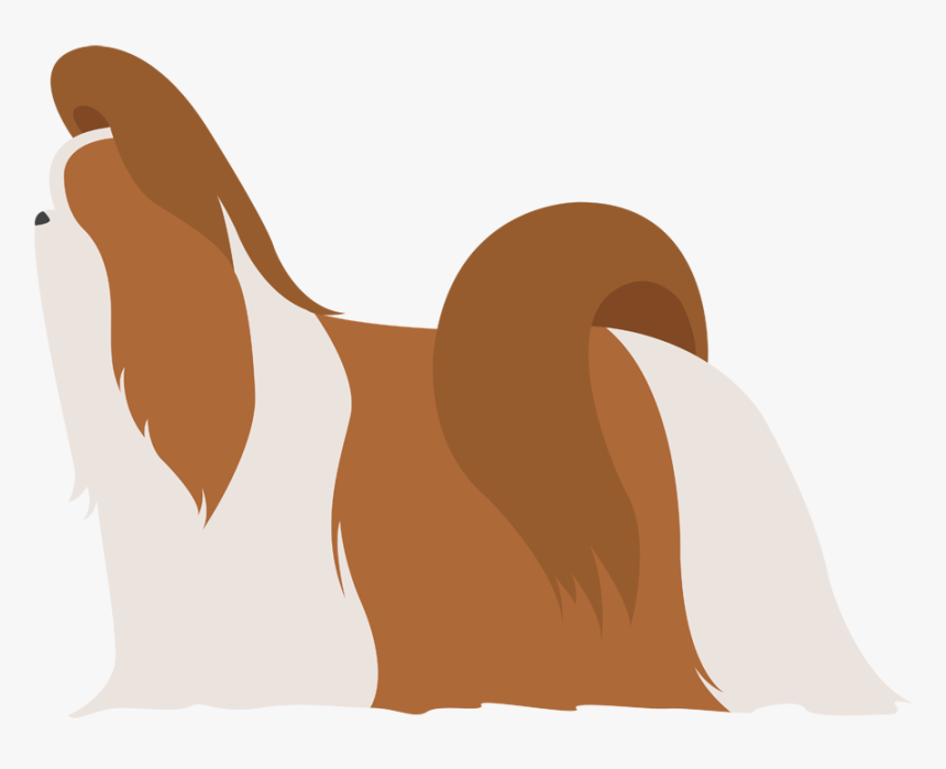 Maltese Dog Pekingese Cavalier King Charles Spaniel - Illustration, HD Png Download