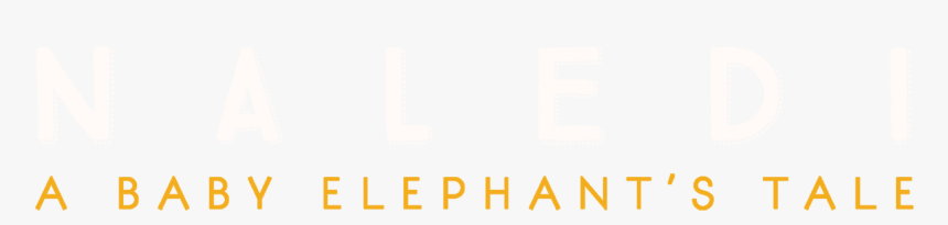 A Baby Elephant S Tale, HD Png Download