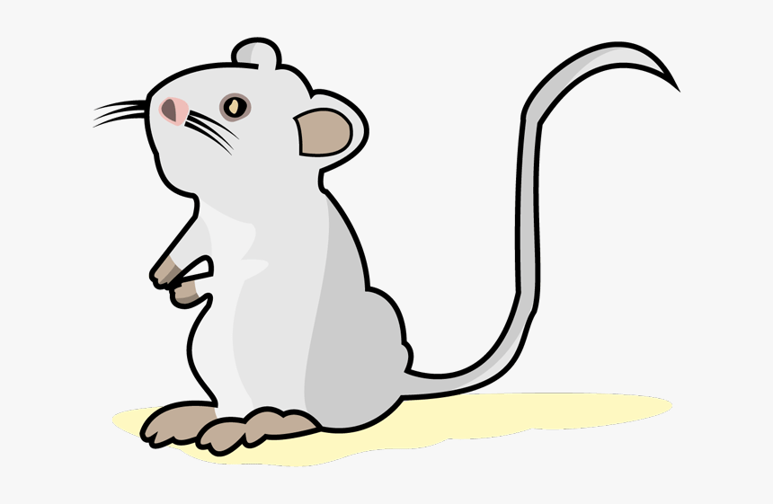 White Mouse - Cartoon, HD Png Download