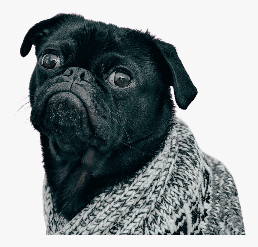 Iphone 8 Plus, HD Png Download