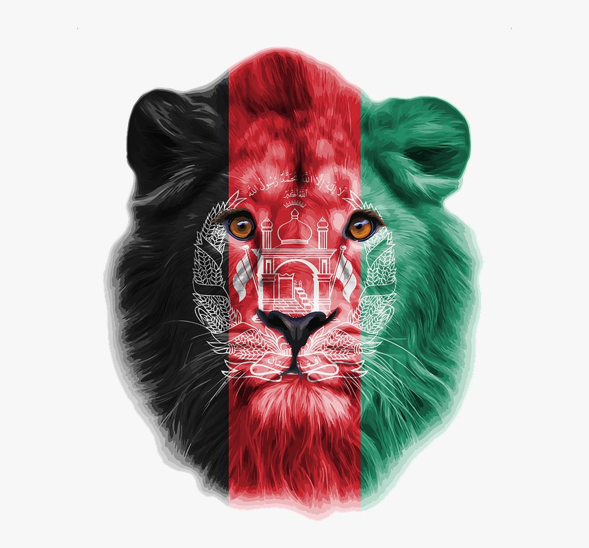 Lion Head Png, Transparent Png
