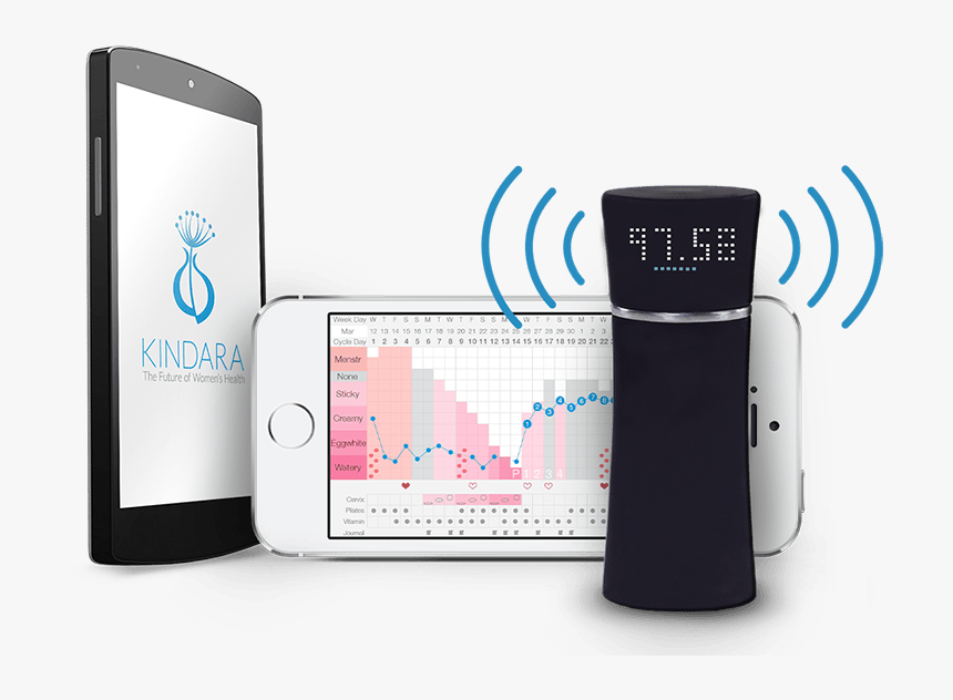 Oral Fertility Thermometer - Wink Kindara, HD Png Download