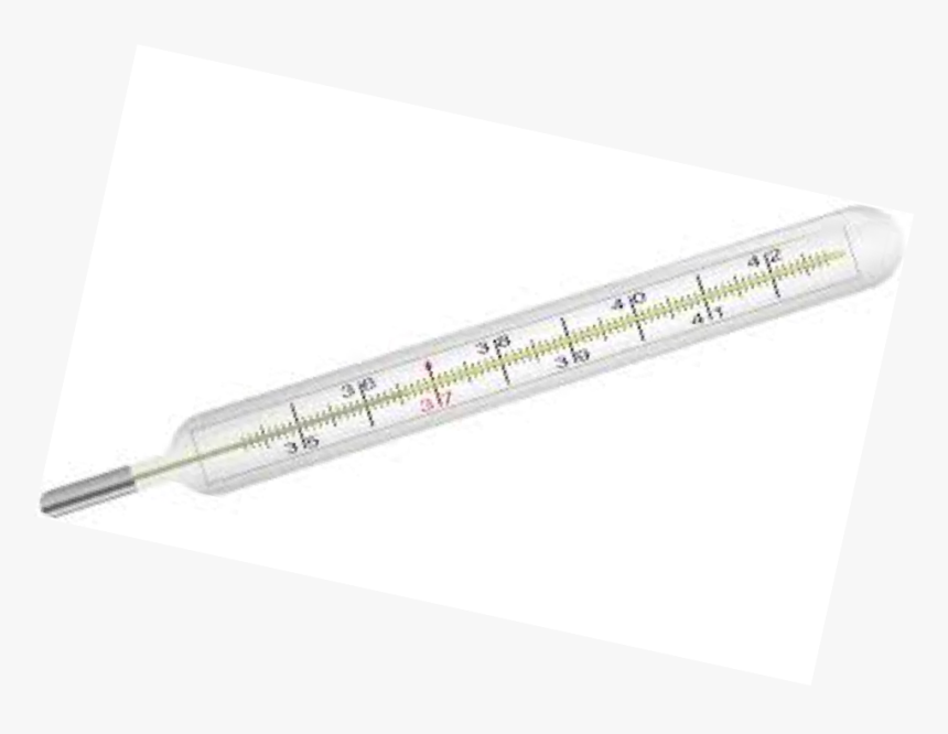 Ivory, HD Png Download