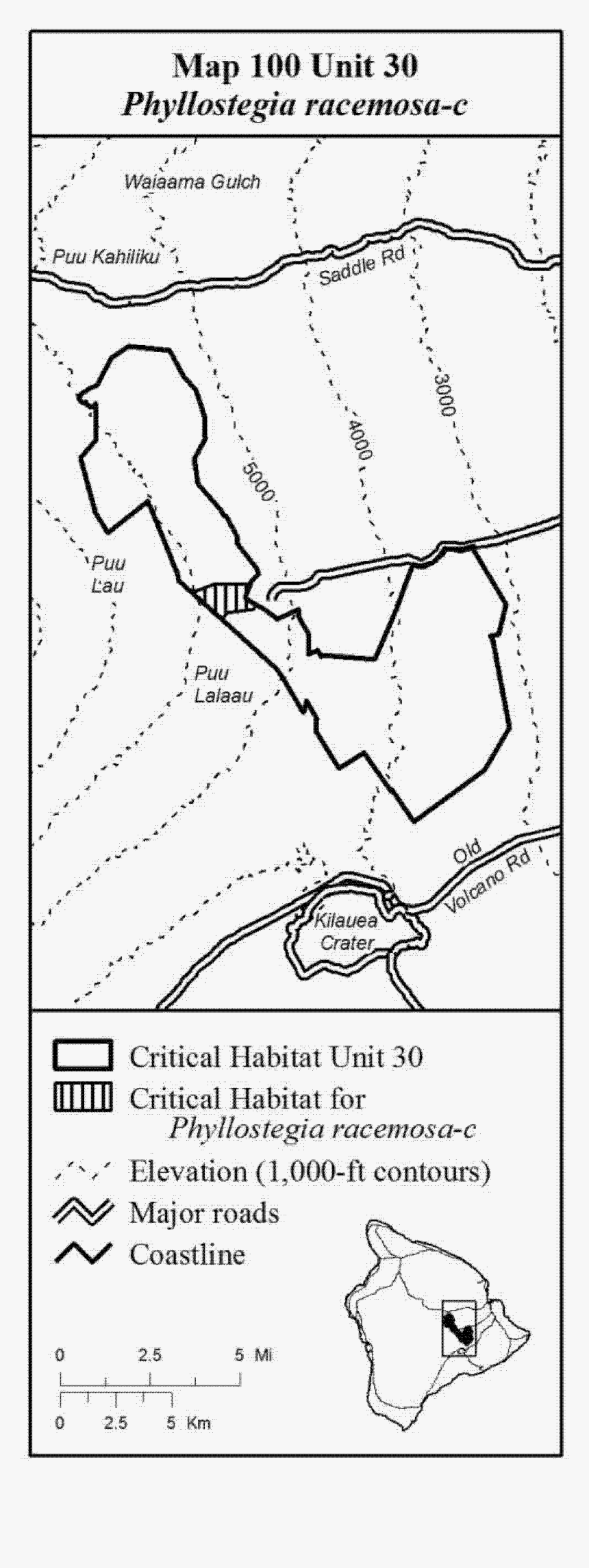 Drawing, HD Png Download