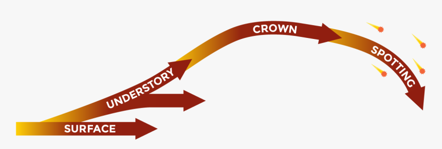 Graphic Design, HD Png Download