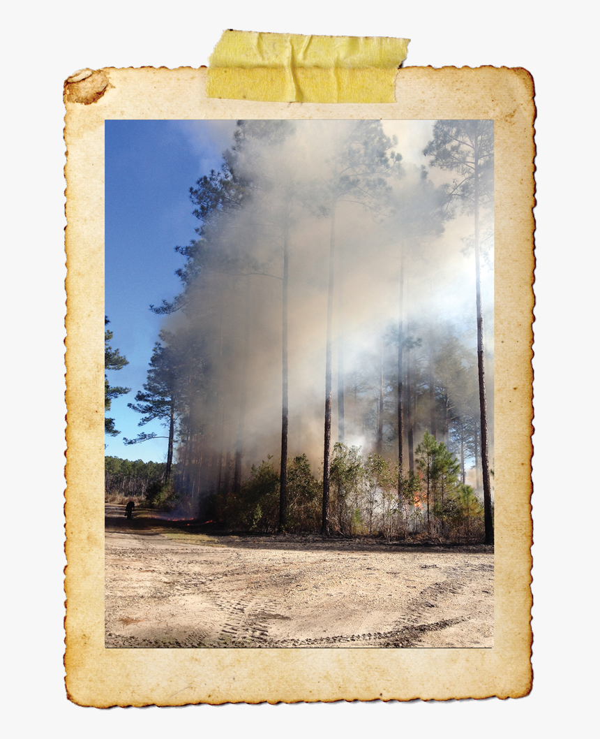 Creative Arts, HD Png Download