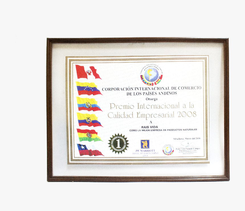 Vestido Y Cuidado Personal - Circle, HD Png Download