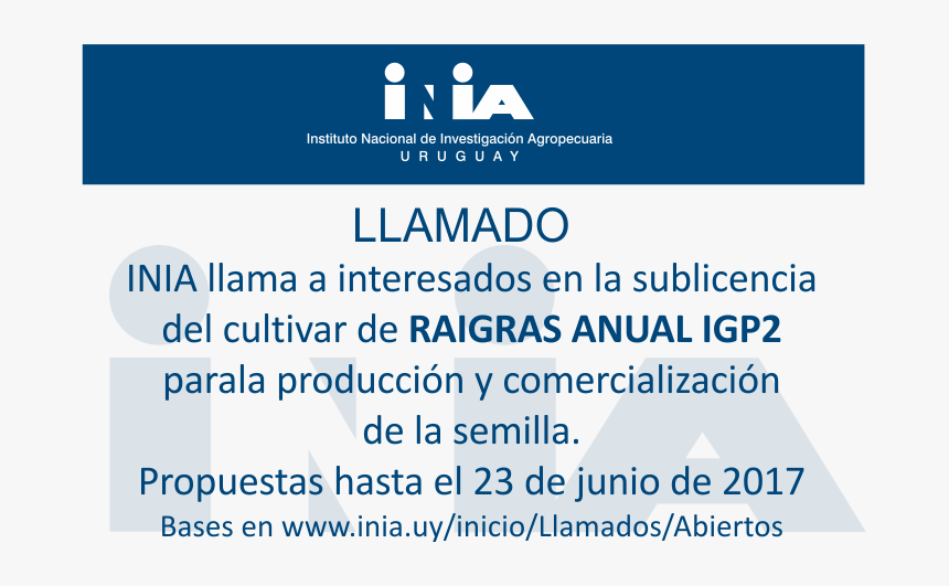 Screenshot, HD Png Download