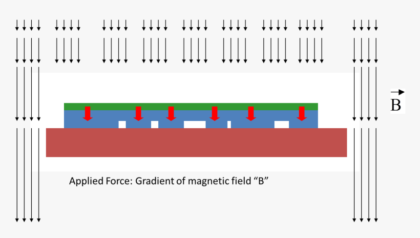 Magnetic Field Assisted Micro Contact Printing, HD Png Download